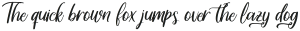 Delight Lettering Script alt otf (300)