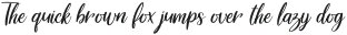 Delight Lettering Script Regular otf (300)