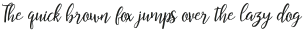 Restful Script Regular otf (400)