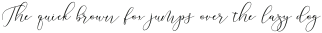 Kamelia Script Regular otf (400)