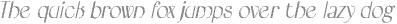 BordieDisco-Italic otf (400)