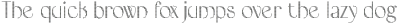 BordieDisco-Regular otf (400)
