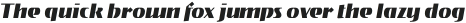 Gryffith CF Black Italic otf (900)