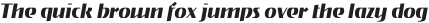 Gryffith CF Demi Bold Italic otf (600)