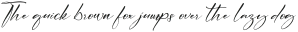 Cicaero Italic otf (400)