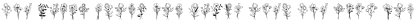 Bunch Of Flowers XVIIICC otf (400)
