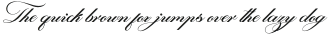 Danizattiscript-Regular otf (400)