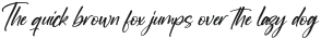 Newscript Italic otf (400)