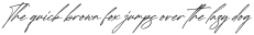 Tianila Italic otf (400)