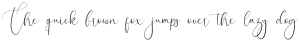 Pictural otf (400)