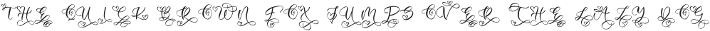 Beloved Monogram otf (400)