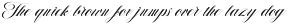 Michigan Script font preview