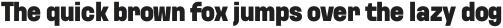 Kurdis Condensed Black otf (900)
