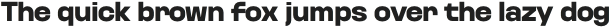 Kurdis ExtraBold otf (700)