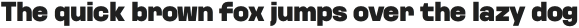 Kurdis SemiCondensed Black otf (900)