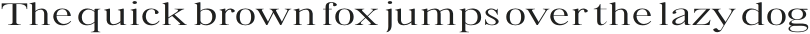 Bia Serif Low Light Ultra Expanded otf (300)