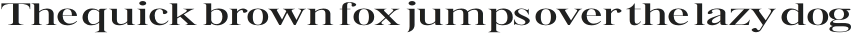 Bia Serif High Medium Ultra Expanded otf (500)