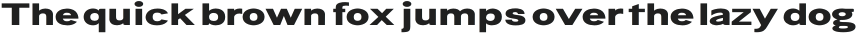 Bia Sans Low Bold Ultra Expanded otf (700)