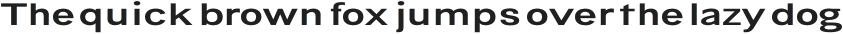 Bia Sans Low Medium Ultra Expanded otf (500)