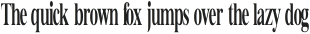 Bia Serif High Bold Ultra Condensed otf (700)