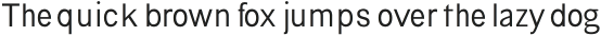 Bia Sans Low Light otf (300)