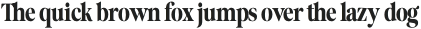 The Reading Display Condensed otf (400)