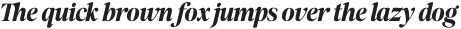 The Reading Display Italic otf (400)