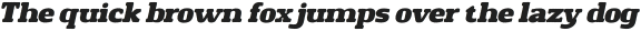 DensityRough-Italic otf (400)