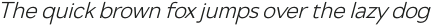Netadyne Light Italic otf (300)