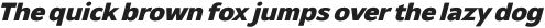 Netadyne Extra Bold Italic otf (700)