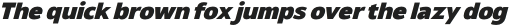 Netadyne Black Italic otf (900)