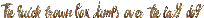 Flow Display otf (400)