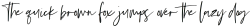 Silver South Serif ttf (400)