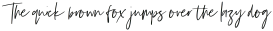 Silver South Script Ligatures ttf (400)