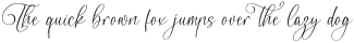 Moonttima Goldfesta Italic otf (400)
