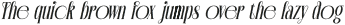 RevalynRough-Italic otf (400)