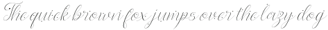 Slavina Script Love Slant otf (400)
