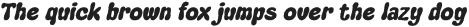 Carlise Rough Italic otf (400)