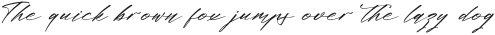 Midnight Realtime otf (400)