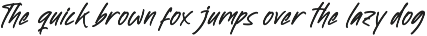 Newtonick Chodes Display Handbrush preview