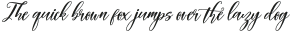 Autumn Script otf (400)