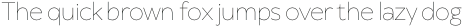 TT Wellingtons Thin Italic otf (100)