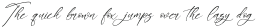 Aloruty Fortune Italic otf (400)