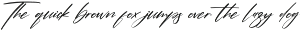 Pantherdam Signature Signature Brush preview