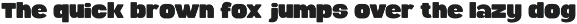 Sardin - Rounded Bold Font font preview