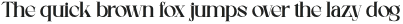 Divera Display Serif Regular otf (400)