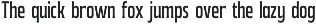 Bungo - Variable Condensed Font preview