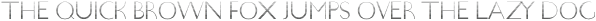 Levo Gradient otf (400)