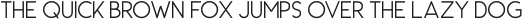 Carrol Thin Italic otf (100)