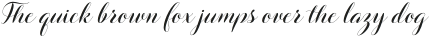 Barbara Slant Script Regular otf (400)